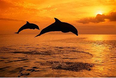 重温童年经典 《轩辕剑叁 云和山的彼端》蒸汽平台现已上线