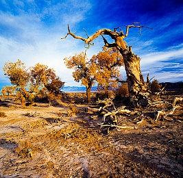 上帝模拟游戏《Masters of Albion》科隆预告公布 Steam页面上线